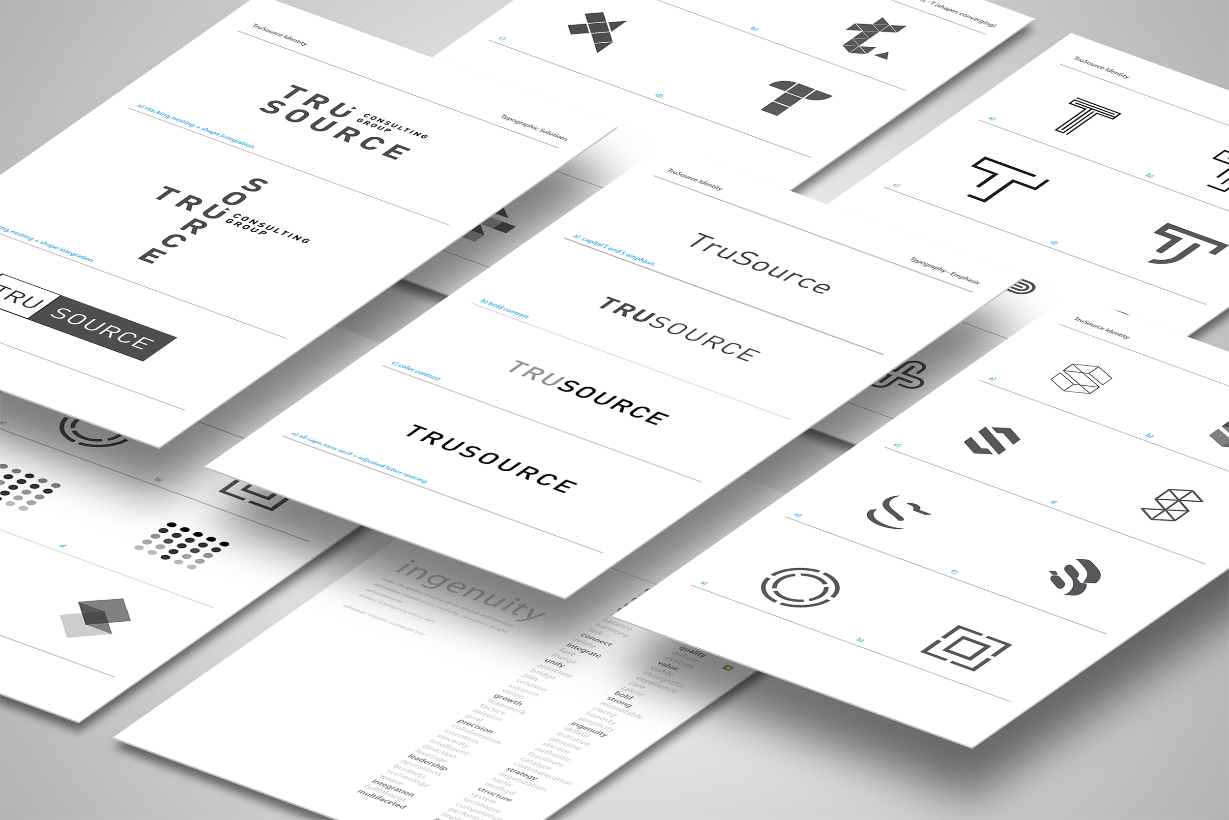 Mosaic layout of different TruSource logo design options.